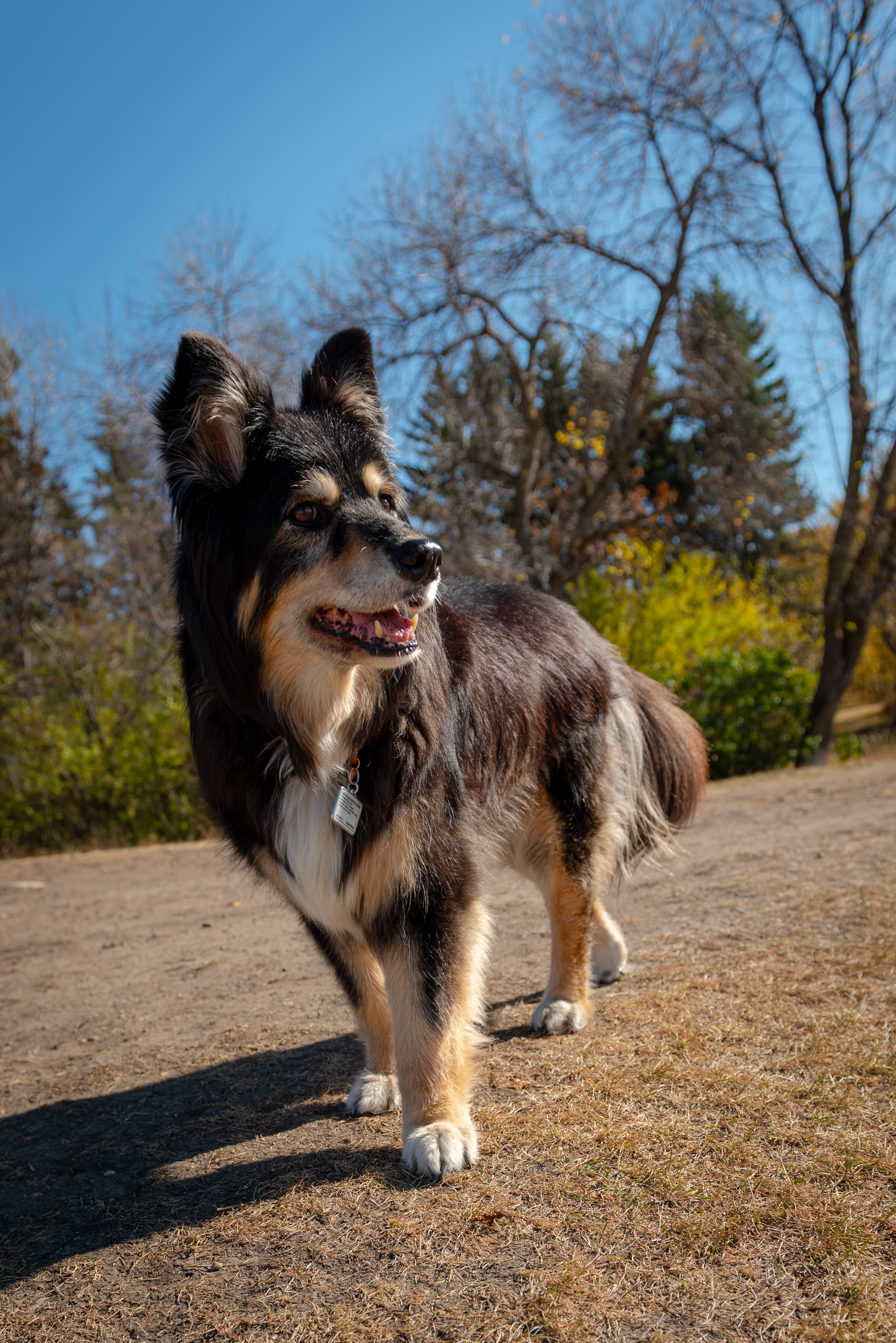 [CLIENT TO REPLACE: alt text for photographer portrait photo]